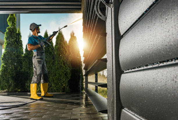 Best Gutter Cleaning in Bear Valley Springs, CA